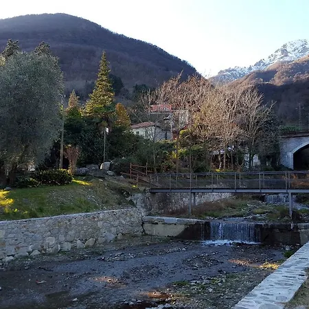 Ulivo 14