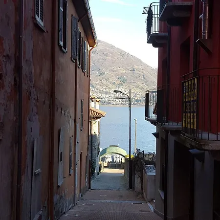 Ulivo 14 Acquaseria